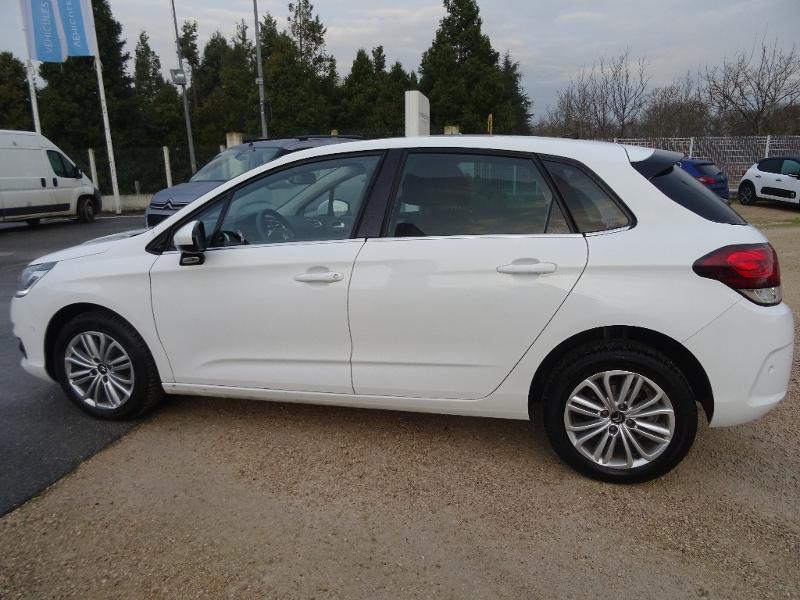CITROEN C4 BlueHDi 100ch Millenium Business