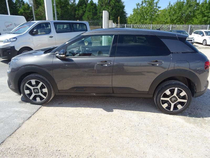 CITROEN C4 Cactus PureTech 110ch S&S Shine EAT6 E6.d-TEMP