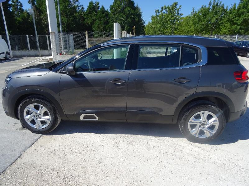 CITROEN C5 Aircross BlueHDi 130ch S&S Business EAT8