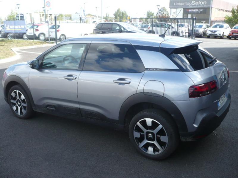 CITROEN C4 Cactus PureTech 110ch S&S Feel E6.d-TEMP