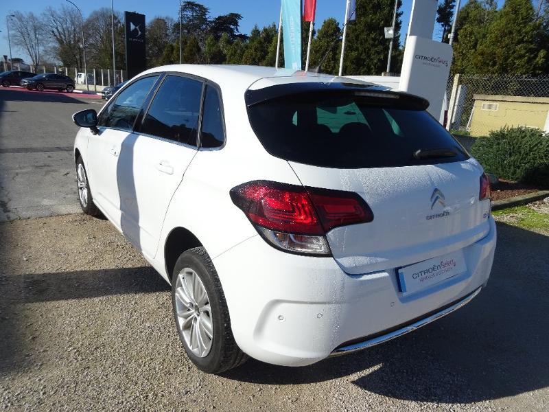 CITROEN C4 BlueHDi 100ch Millenium Business S&S 86g