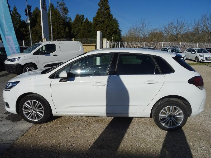 CITROEN C4 BlueHDi 100ch Millenium Business S&S 86g