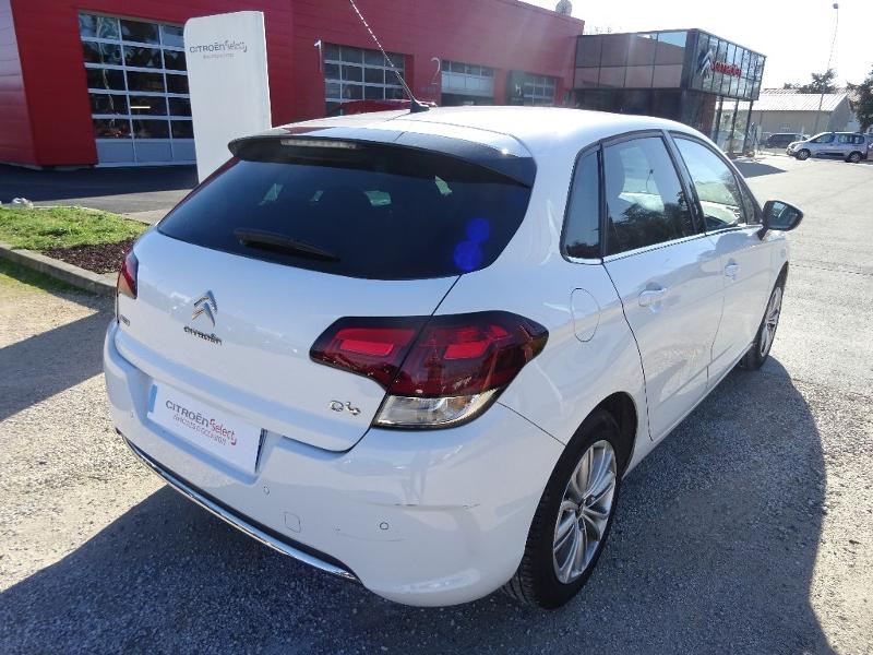 CITROEN C4 BlueHDi 100ch Millenium Business S&S 86g