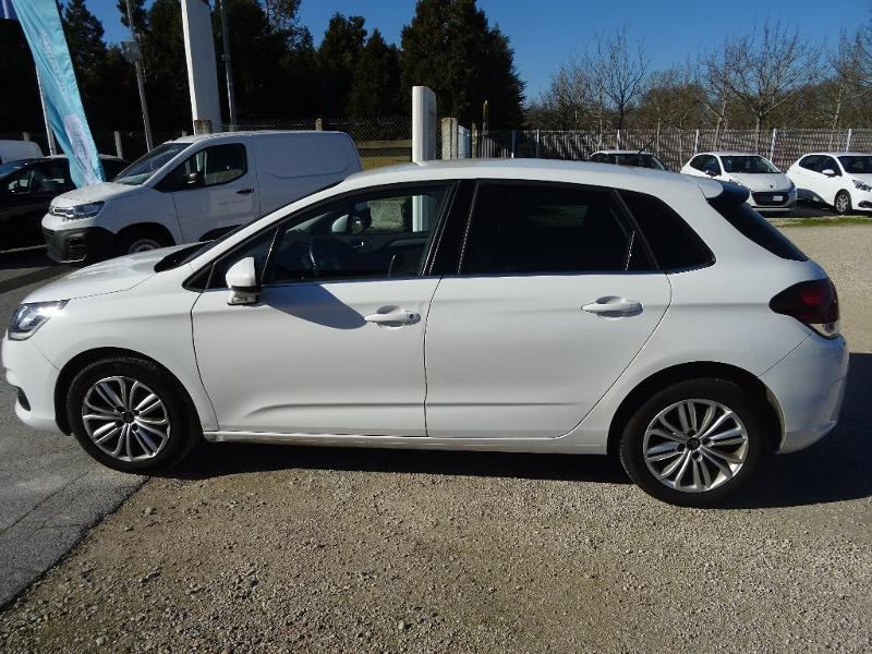 CITROEN C4 BlueHDi 100ch Millenium Business S&S 86g