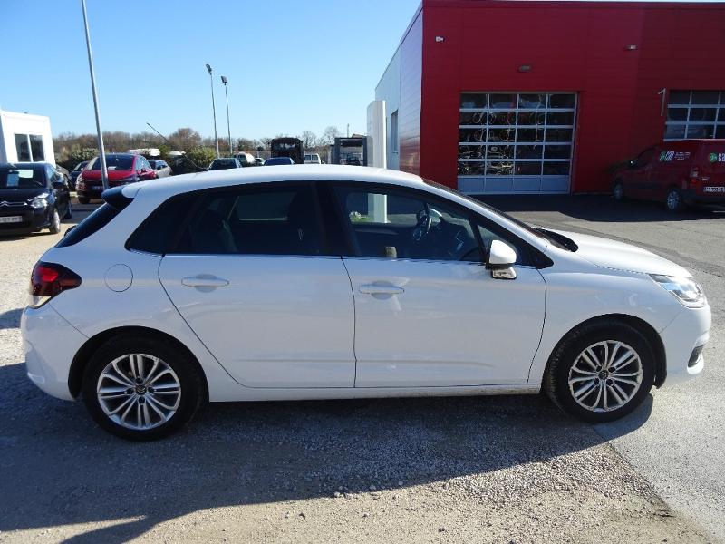 CITROEN C4 BlueHDi 100ch Millenium Business S&S 86g