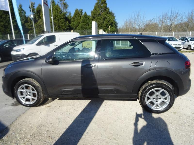 CITROEN C4 Cactus BlueHDi 100ch S&S Feel E6.d-TEMP