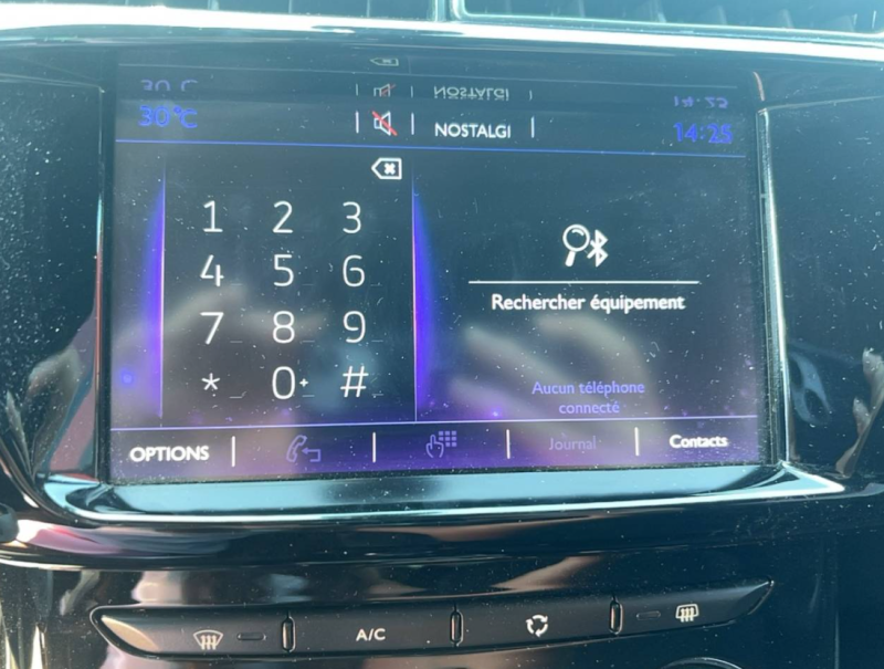 DS3 BlueHDI 100 Manuel Chic