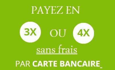 Paiement en 3 ou 4 fois sans frais pour l'entretien et réparation de mon véhicule à Toulouse