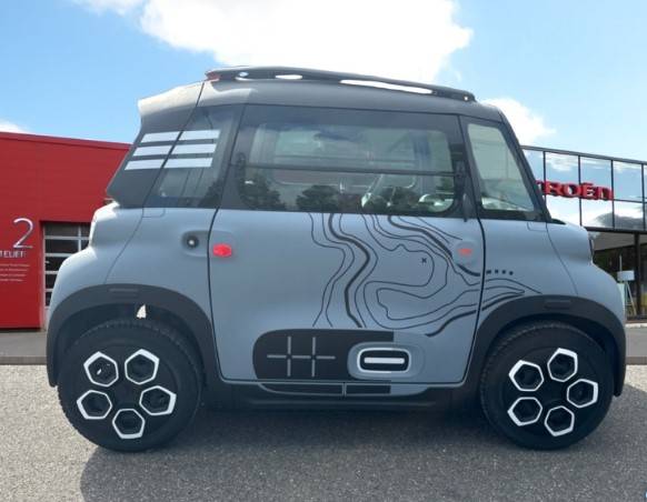 Livraison AMI dans tout la France 