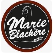 garage dubreil automobiles auterive 